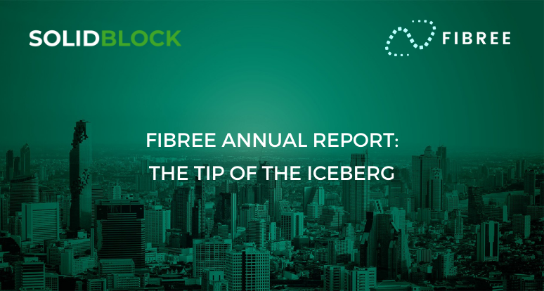 FIBREE Annual Report: The tip of the iceberg